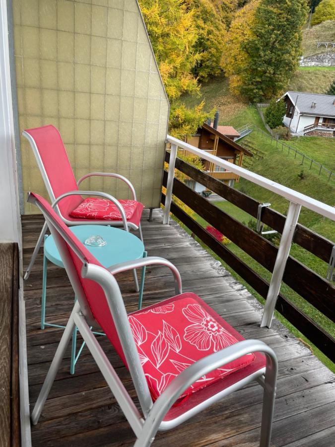 Guest With A Great View At Brunner
