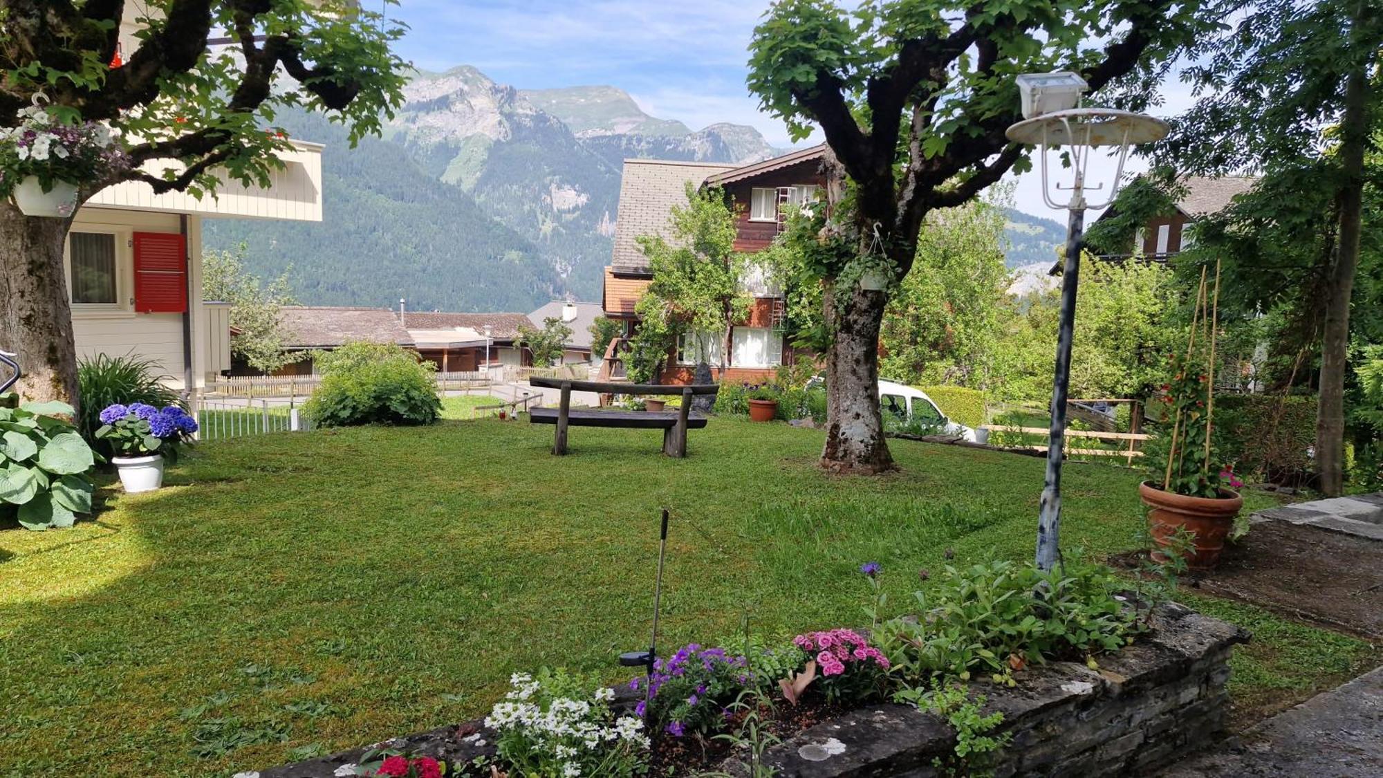 Brunner Apartment Wengen