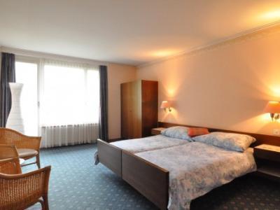 Guest With A Great View At Brunner Appartement *