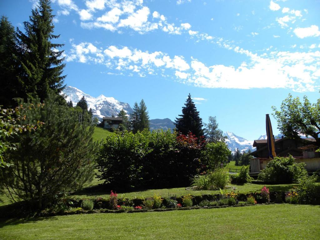 Guest With A Great View At Brunner Appartement