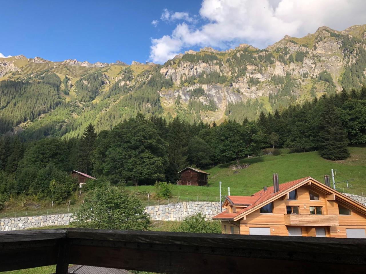 Guest With A Great View At Brunner * Wengen